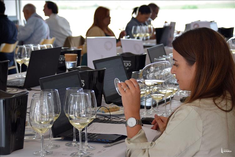 Concurso Vinhos do Tejo reuniu 220 amostras em prova e anuncia vencedores a 03 de junho
