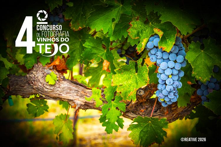 Concurso convida a olhar fotográfico sobre os vinhos e a região do Tejo