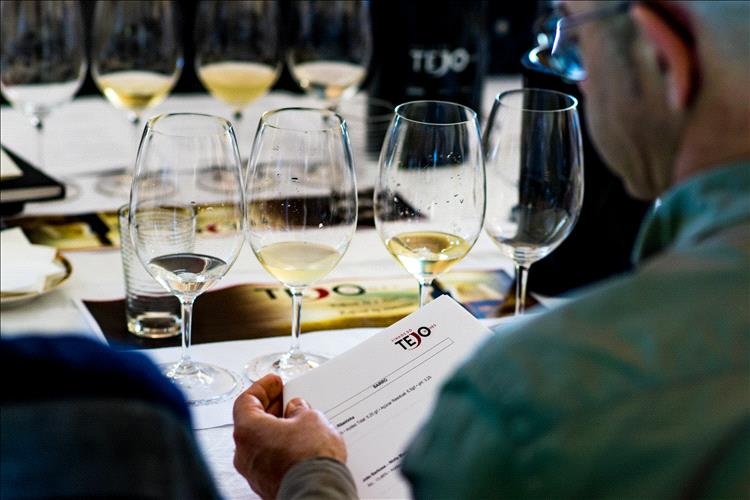 Dirceu Vianna Junior e Jamie Goode apoiam promoção dos Vinhos do Tejo no Reino Unido