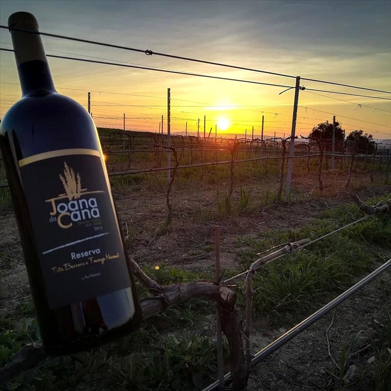 Vinhos Franco
